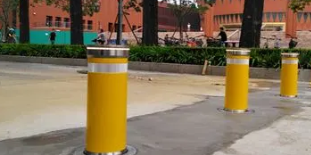 不可或缺的学校丝瓜污污视频